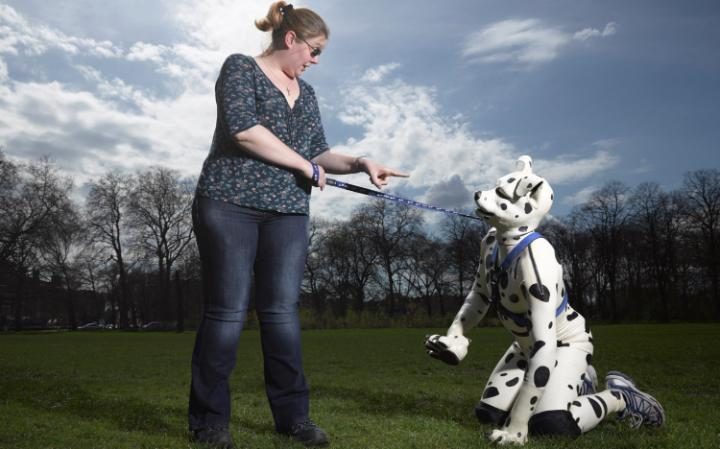 Kỳ lạ cuộc sống của những người muốn trở thành chó - 3