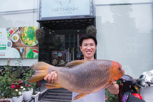 Nhà hàng chi đậm mua cá "khủng" về làm Chả cá Lã Vọng - 1