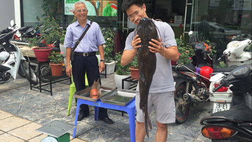 Nhà hàng chi đậm mua cá "khủng" về làm Chả cá Lã Vọng - 3