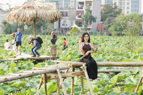 Thiếu nữ Hà Nội khoe nét gợi cảm bên sen đầu hạ - 13