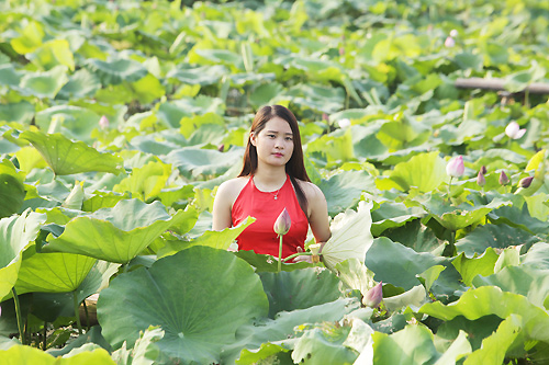 Thiếu nữ Hà Nội khoe nét gợi cảm bên sen đầu hạ - 12