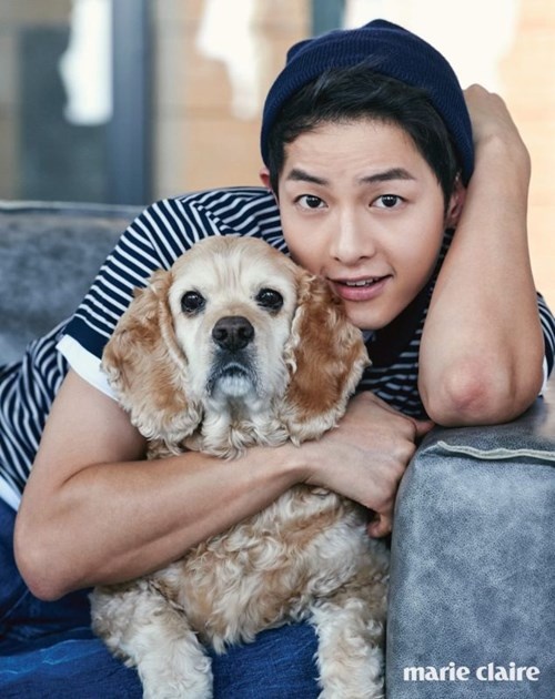 Những khoảnh khắc "đốn tim" fan của Song Joong Ki - 3