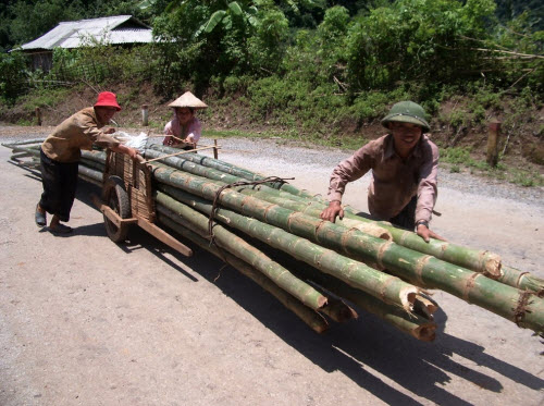 Hành trình 10 ngày khám phá miền núi phía Bắc Việt Nam - 11