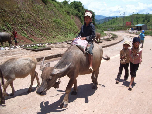 Hành trình 10 ngày khám phá miền núi phía Bắc Việt Nam - 12