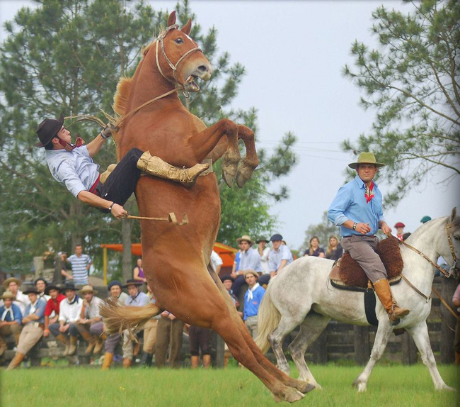 Anh xấu trai quá, tôi không "cho cưỡi" đâu.