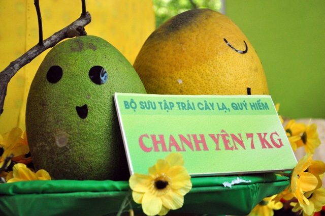 Trái cây khổng lồ hội tụ ở Sài Gòn - 4