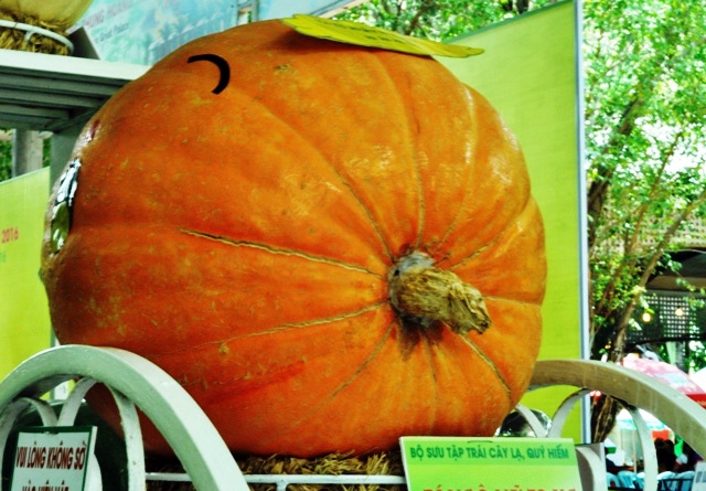 Trái cây khổng lồ hội tụ ở Sài Gòn - 3