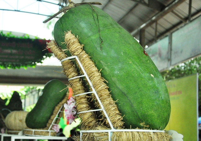 Trái cây khổng lồ hội tụ ở Sài Gòn - 12