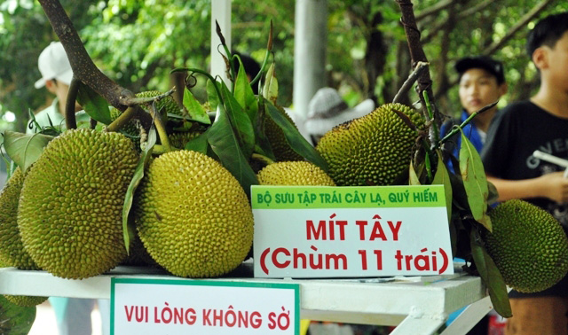 Trái cây khổng lồ hội tụ ở Sài Gòn - 14