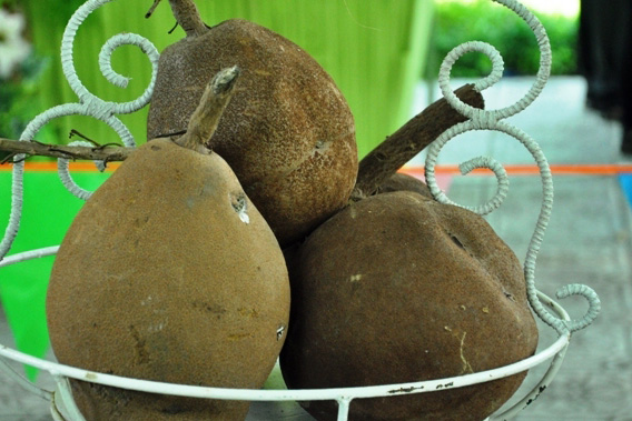 Trái cây khổng lồ hội tụ ở Sài Gòn - 16