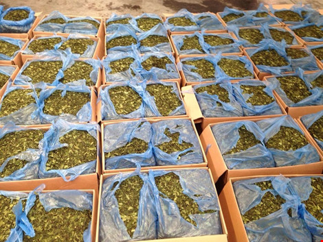 Bắt lô lá cây lạ chứa ma túy cực mạnh tại Tân Sơn Nhất - 1
