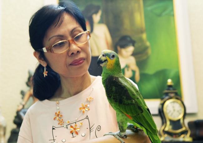 Vẹt chơi bóng rổ