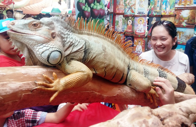 Tận thấy rồng Nam Mỹ, kỳ đà sông Nile trên đất Sài Gòn - 1