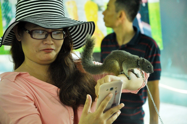 Tận thấy rồng Nam Mỹ, kỳ đà sông Nile trên đất Sài Gòn - 10