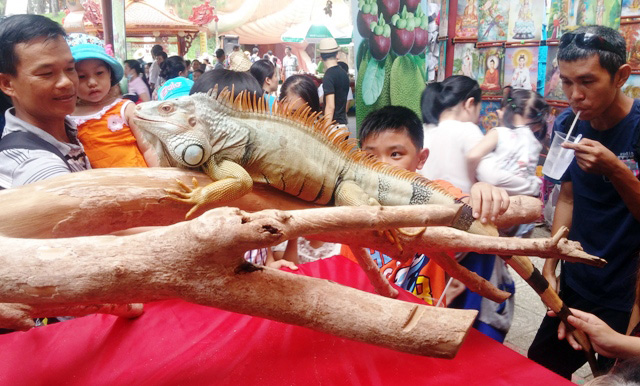 Tận thấy rồng Nam Mỹ, kỳ đà sông Nile trên đất Sài Gòn - 14