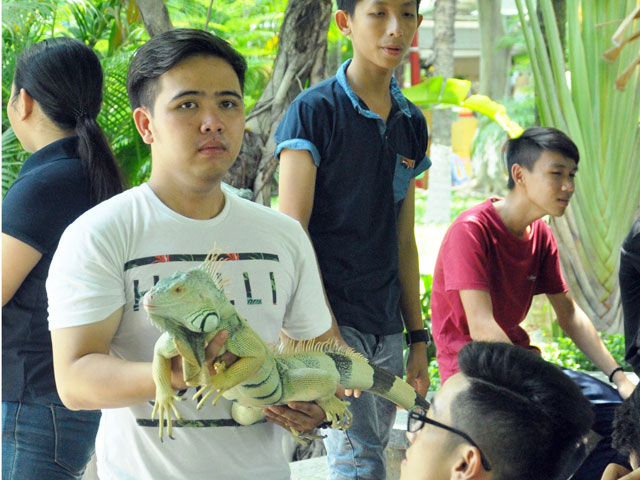 Tận thấy rồng Nam Mỹ, kỳ đà sông Nile trên đất Sài Gòn - 15