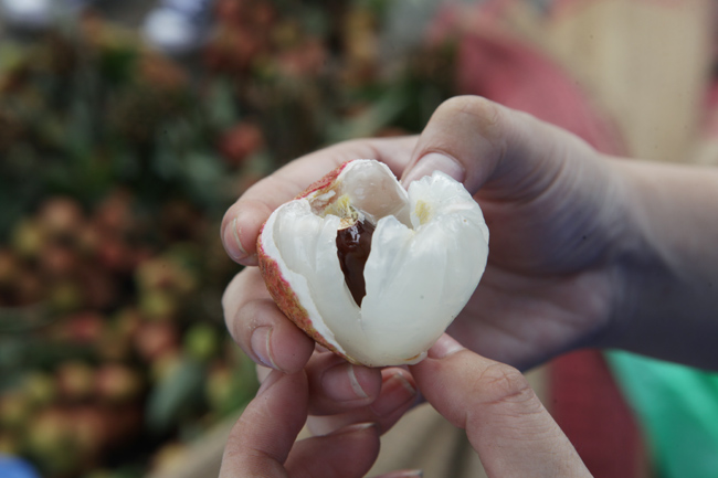 Sư thầy cùng sinh viên ra tay “giải cứu” vải Bắc Giang - 6