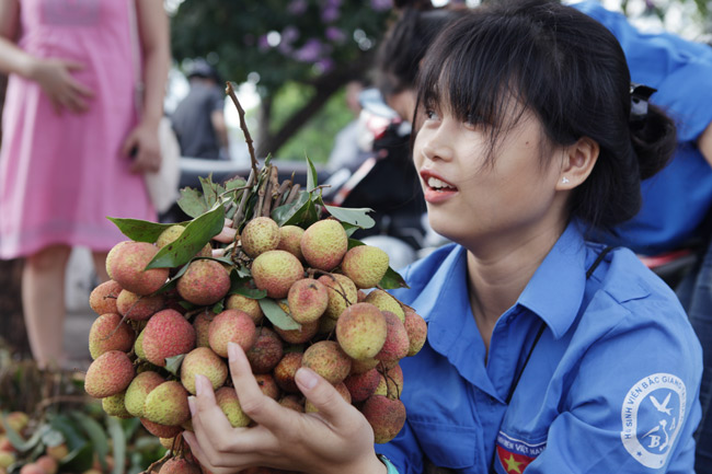 Sư thầy cùng sinh viên ra tay “giải cứu” vải Bắc Giang - 3