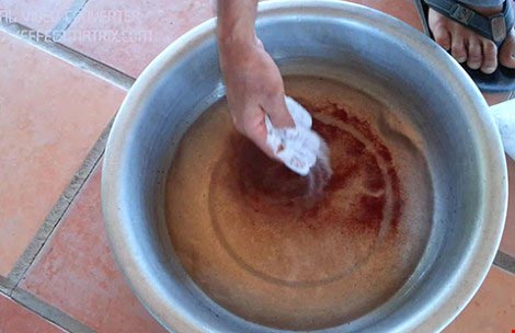 Phù phép biến cá trê trắng thành cá trê vàng - 1