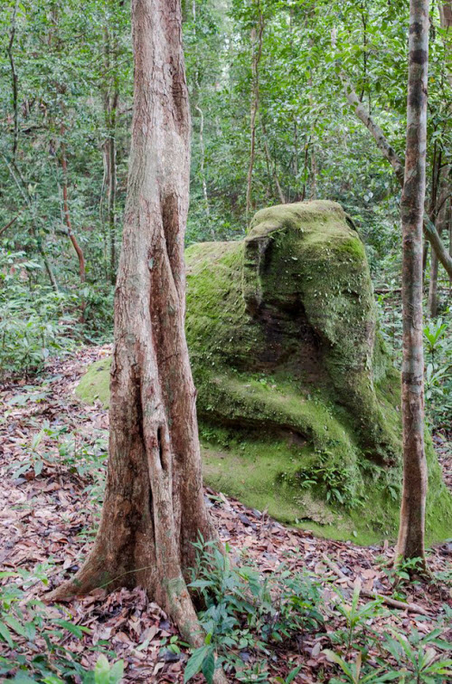 Lộ hàng loạt thành phố trung cổ trong rừng Campuchia - 1