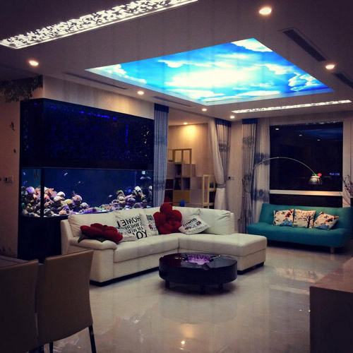 Những căn nhà triệu đô đáng mơ ước của sao Việt - 2