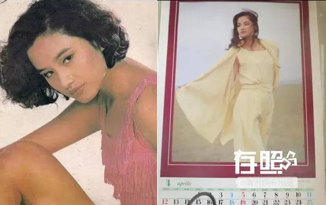 Những nữ hoàng ảnh lịch nức tiếng một thời của Cbiz - 3