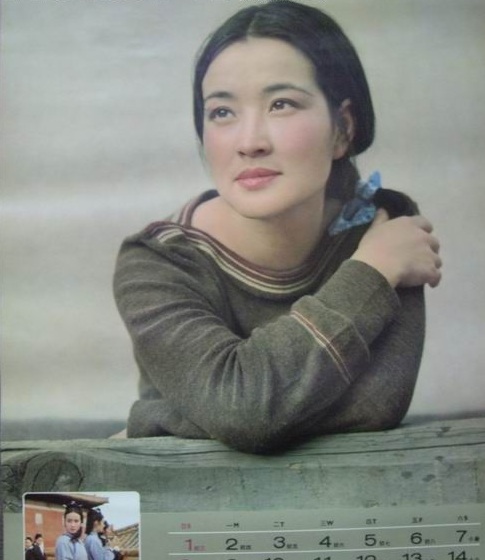 Những nữ hoàng ảnh lịch nức tiếng một thời của Cbiz - 6