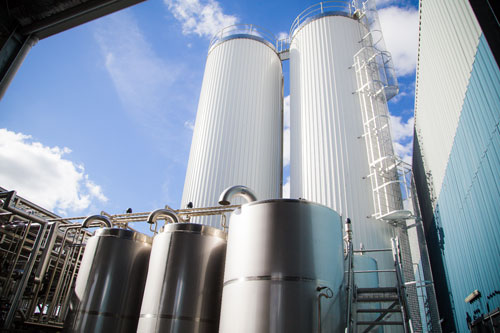 Nghe Phan Anh, Thùy Minh kể chuyện lạ về… “bò và sữa” - 3