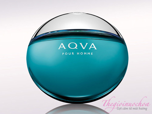 Chọn nước hoa tặng cha: Thế Giới Nước Hoa ưu đãi tất cả sản phẩm - 5