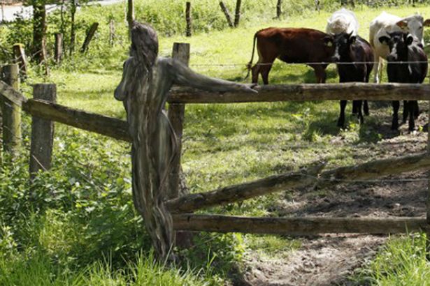 Đức: Mẫu nữ khỏa thân "tàng hình" giữa cảnh nông thôn - 5