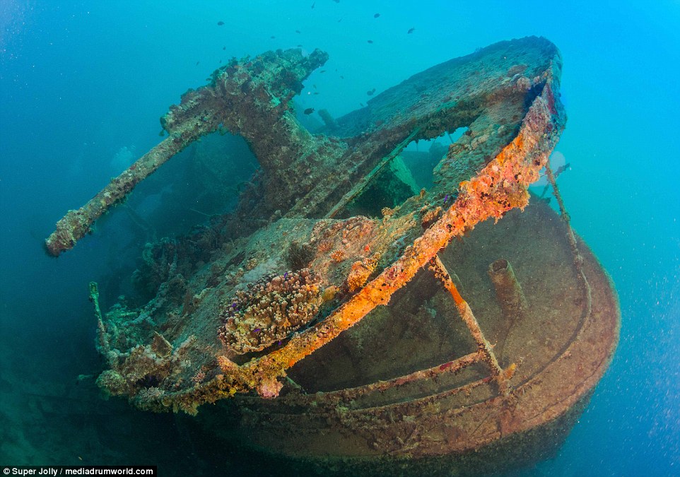 Tàu chở vũ khí kì vĩ của Anh 75 năm chìm dưới Biển Đỏ - 1