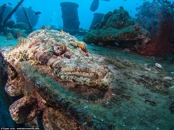 Tàu chở vũ khí kì vĩ của Anh 75 năm chìm dưới Biển Đỏ - 5