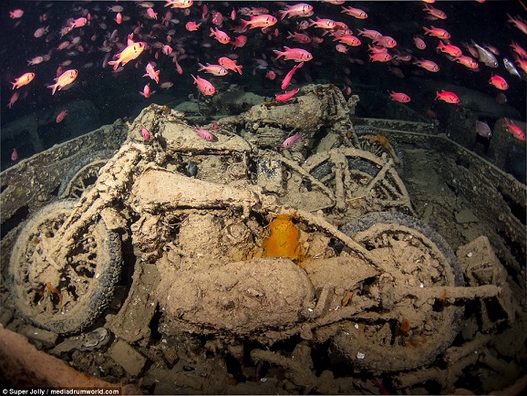 Tàu chở vũ khí kì vĩ của Anh 75 năm chìm dưới Biển Đỏ - 4