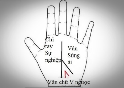 Nếu có đường vân tay này, hôn nhân của bạn sẽ cực tốt - 2