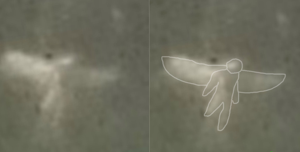 Anh: Dạo bộ, bắt gặp 7 "nàng tiên" sải cánh - 2