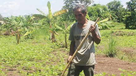Sáng lên rẫy, tối dịch sử thi - 1