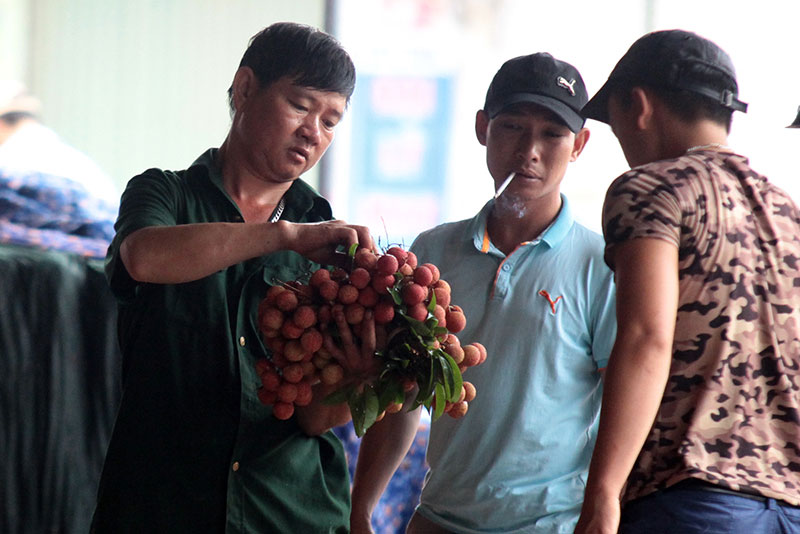 Ảnh: Vải thiều nhuộm đỏ quốc lộ trên xứ vải Lục Ngạn - 7