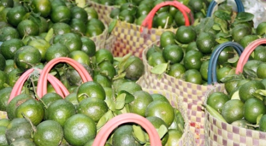 Rau xanh, trái cây… tăng giá mạnh do vào mùa mưa - 1