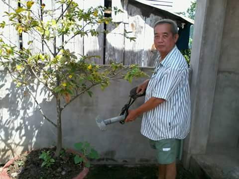 Thoát tàn phế nhờ cao rắn hổ mang - 1