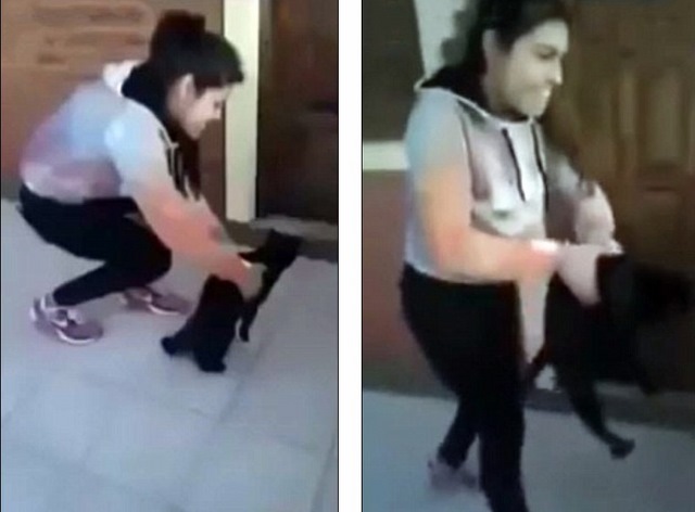 Video: Cô gái ném mèo từ tầng 4 xuống đất để…thí nghiệm - 1