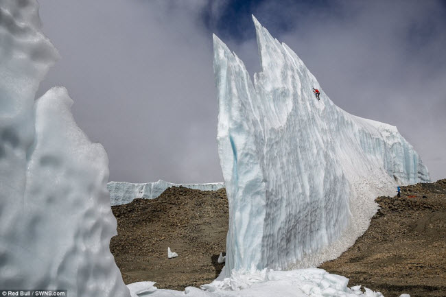 Vận động viên leo núi băng Will Gadd một mình chinh phục đỉnh khối băng hùng vĩ ở núi Kilimanjaro, Tanzania.