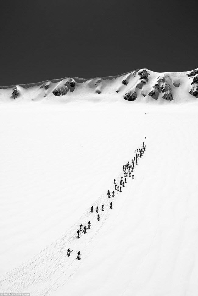 Các vận động viên leo lên một miệng núi lửa phủ tuyết, sau đó trượt xuống tại Puyehue, Chile.