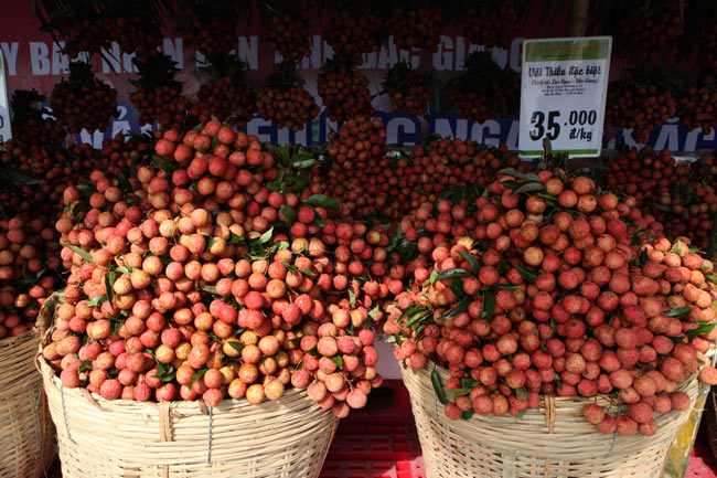 Người Hà Nội đã được ăn vải thiều Bắc Giang chính hiệu - 3