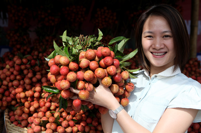 Người Hà Nội đã được ăn vải thiều Bắc Giang chính hiệu - 4