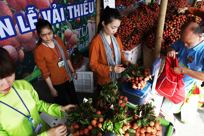 Người Hà Nội đã được ăn vải thiều Bắc Giang chính hiệu - 6