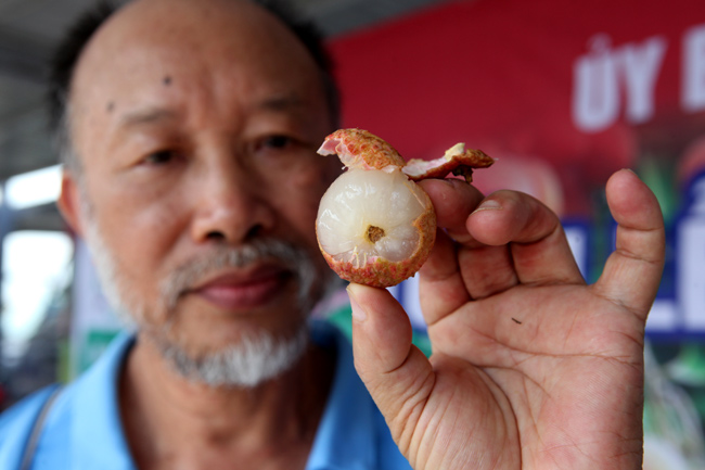 Người Hà Nội đã được ăn vải thiều Bắc Giang chính hiệu - 11