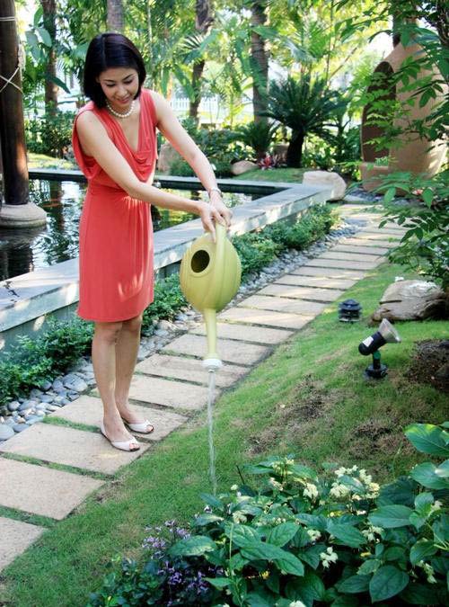 Dinh thự hơn 400 tỷ đồng của Hà Kiều Anh - 4