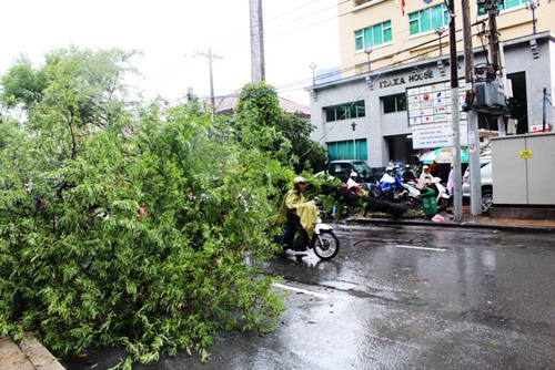 20 người giải cứu người đàn ông bị cây đè ở Sài Gòn - 6