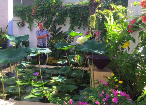 Khám phá bên trong biệt thự triệu đô của Quyền Linh - 5