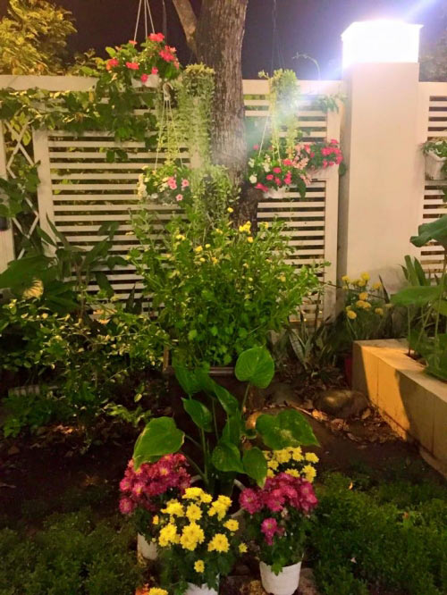 Khám phá bên trong biệt thự triệu đô của Quyền Linh - 8